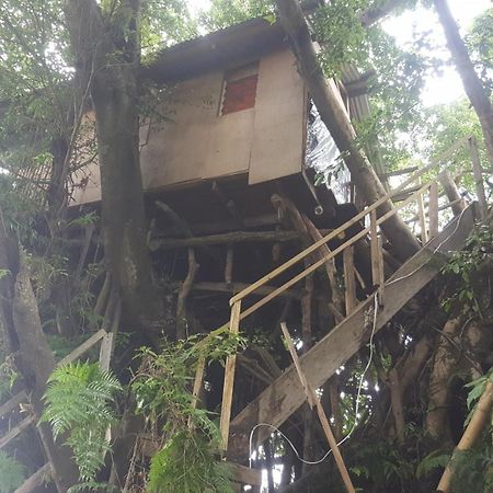 Castle Tree House And Bungalow White Sands Quarto foto